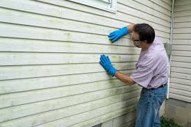 Affordable Siding Repair and Maintenance Services in Wheeler Af, HI